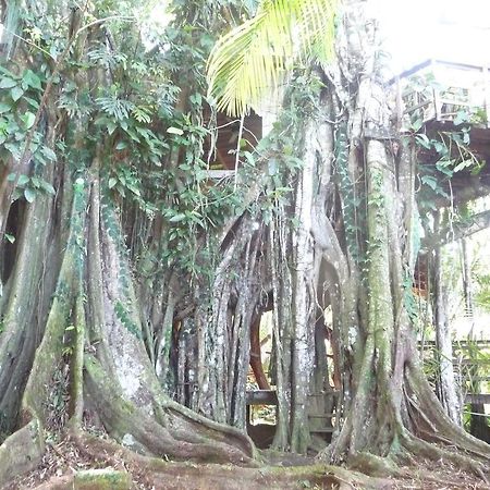 Topos Tree House Cahuita Εξωτερικό φωτογραφία