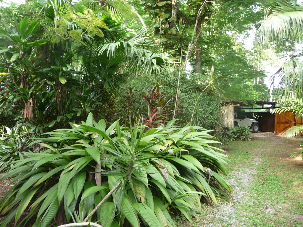 Topos Tree House Cahuita Εξωτερικό φωτογραφία