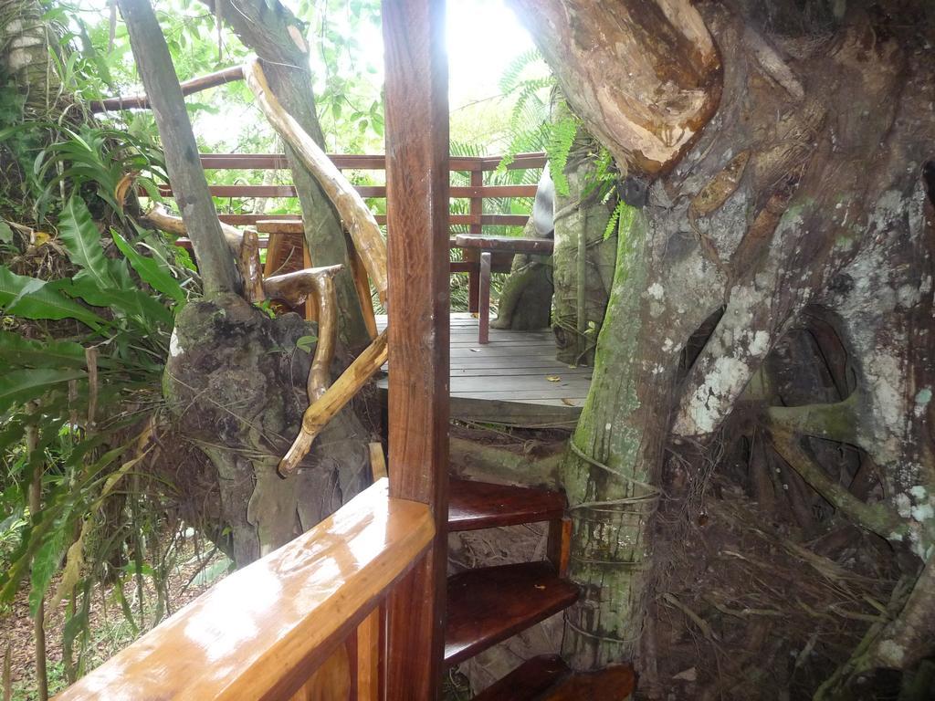 Topos Tree House Cahuita Εξωτερικό φωτογραφία