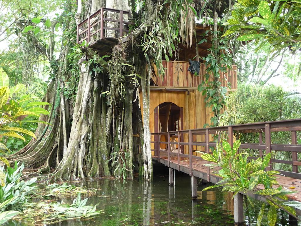 Topos Tree House Cahuita Εξωτερικό φωτογραφία