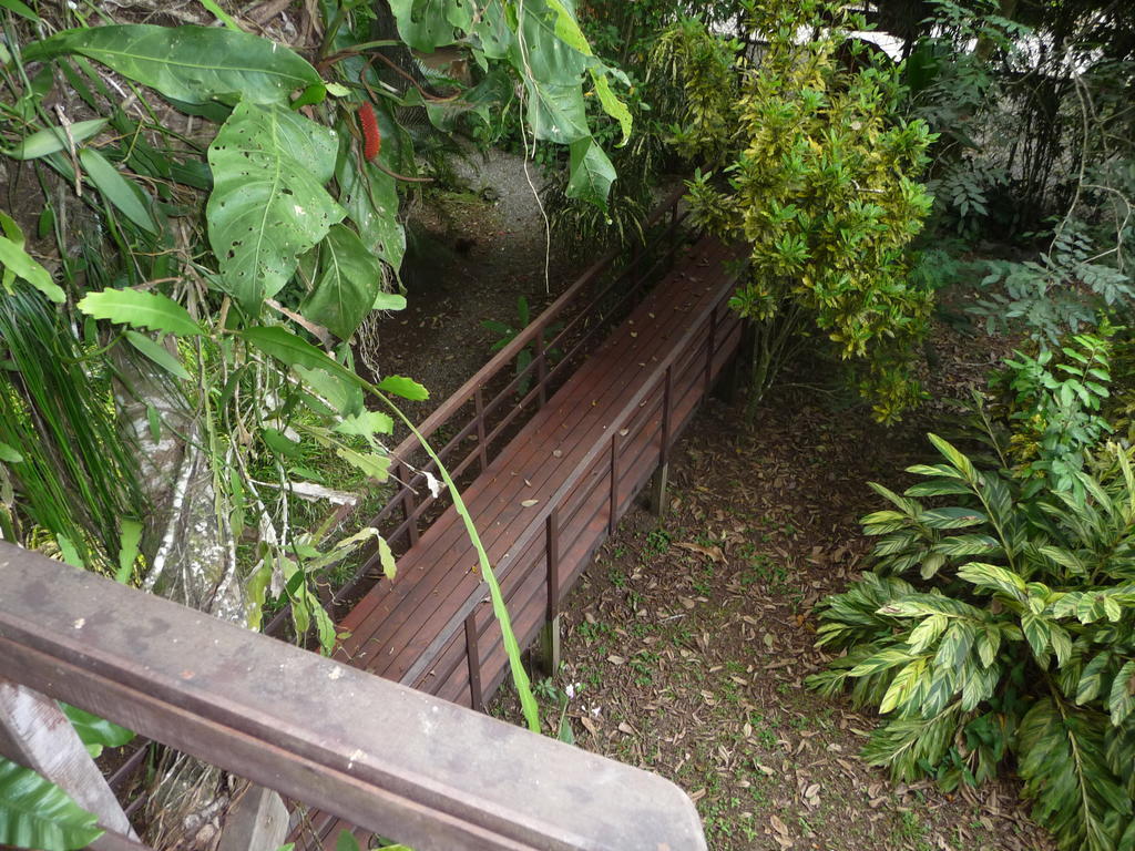Topos Tree House Cahuita Εξωτερικό φωτογραφία