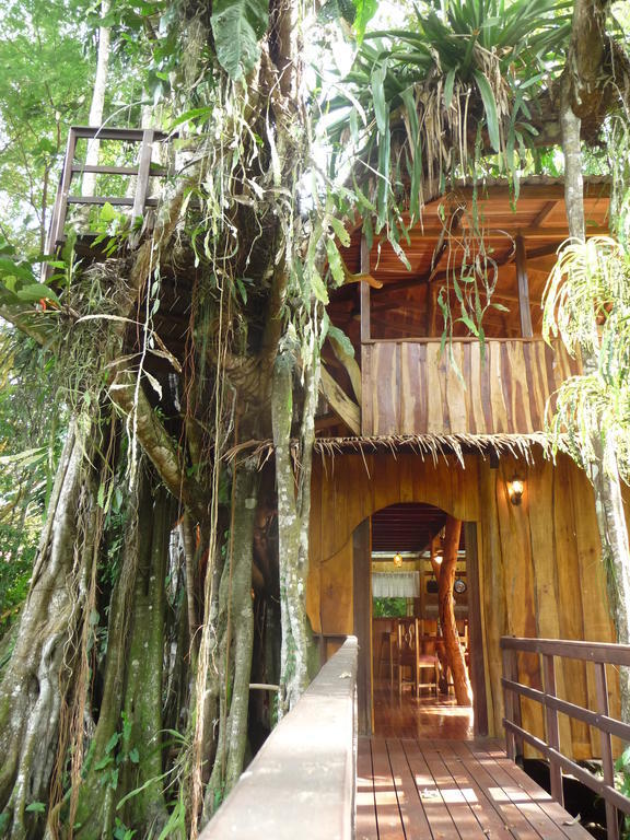 Topos Tree House Cahuita Δωμάτιο φωτογραφία
