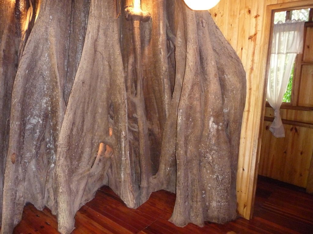 Topos Tree House Cahuita Εξωτερικό φωτογραφία